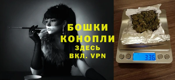 стафф Михайловск