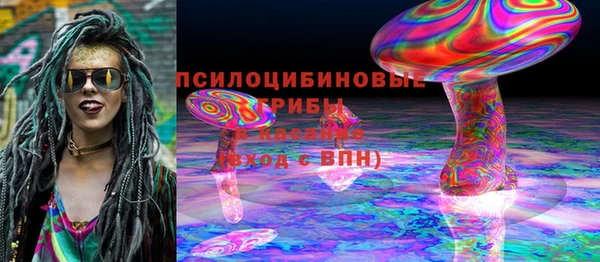 2c-b Михайловка