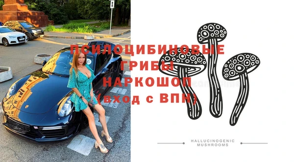 стафф Михайловск