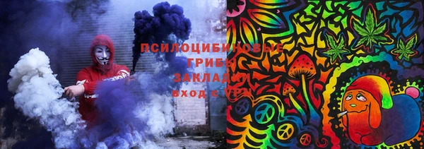 гидропоника Михайлов