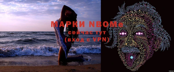 стафф Михайловск