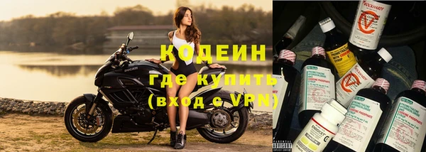 стафф Михайловск