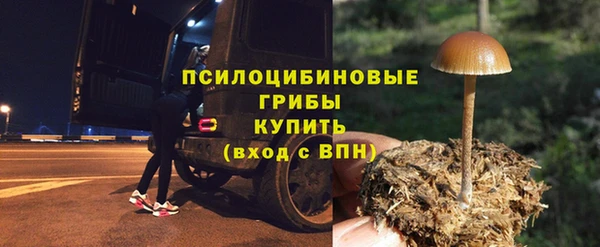 2c-b Михайловка