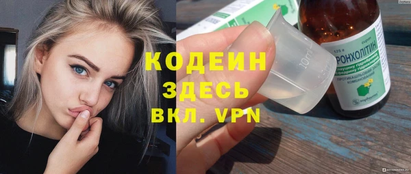 стафф Михайловск