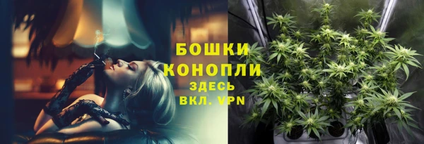 стафф Михайловск