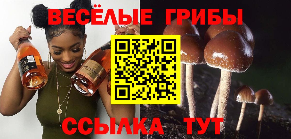 Галлюциногенные грибы ЛСД  Галлюциногенные грибы мухоморы  Нефтекамск  Вход с VPN 